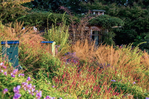 exterior garden